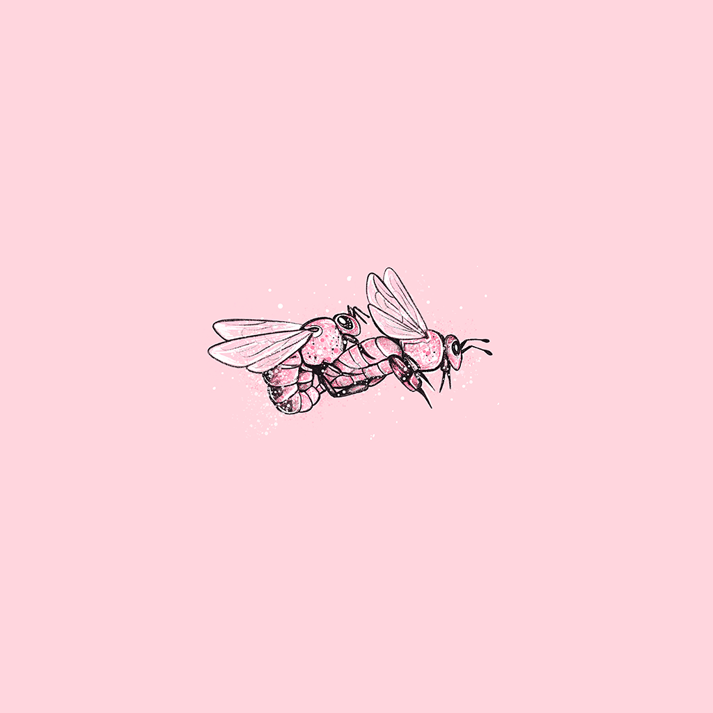 Love Bees