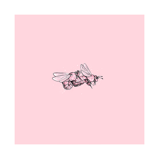 Love Bees