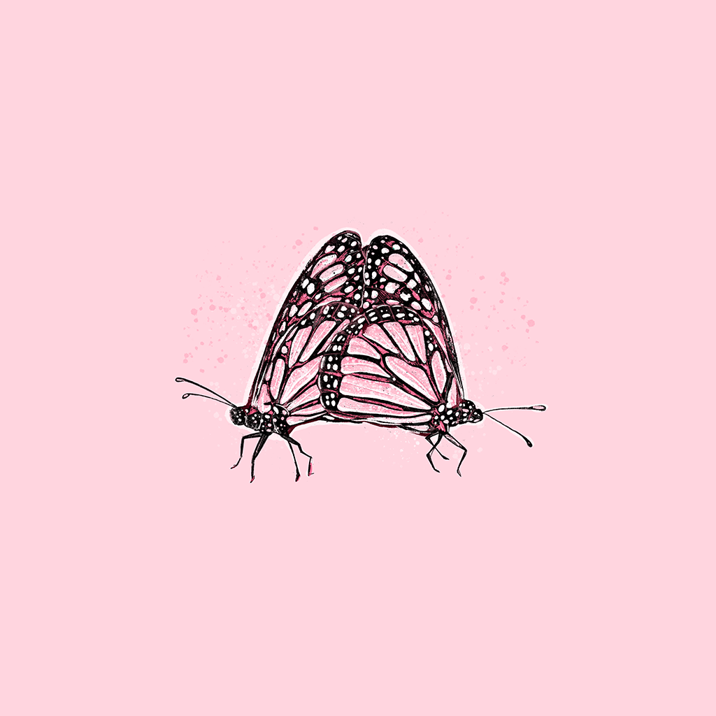 Love Butterflies