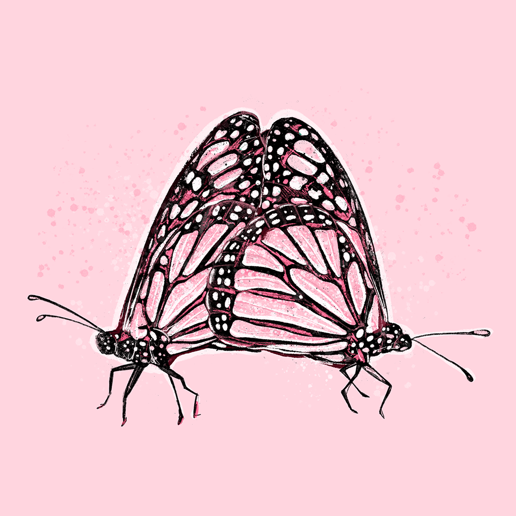 Love Butterflies