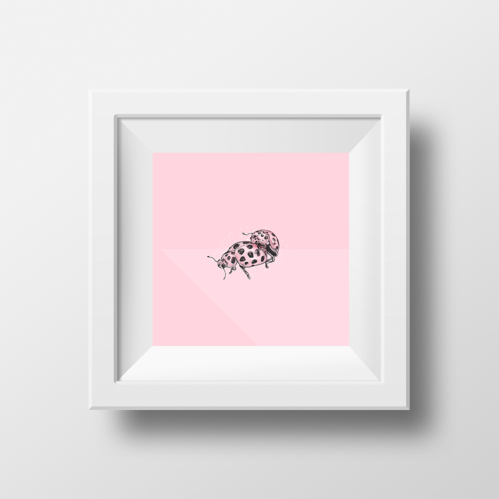 Love Ladybugs