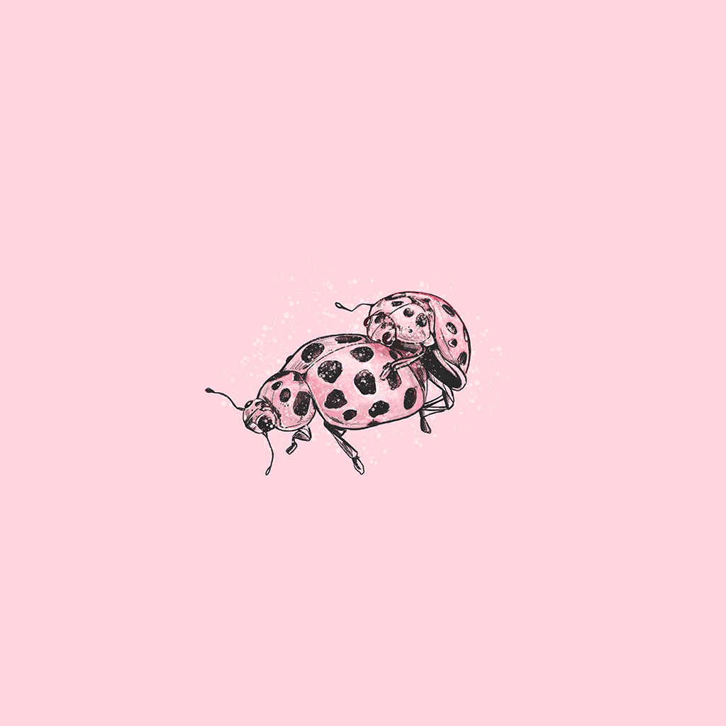 Love Ladybugs